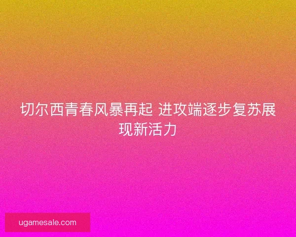 切尔西青春风暴再起 进攻端逐步复苏展现新活力 切尔西青春风暴再起 进攻端逐步复苏展现新活力